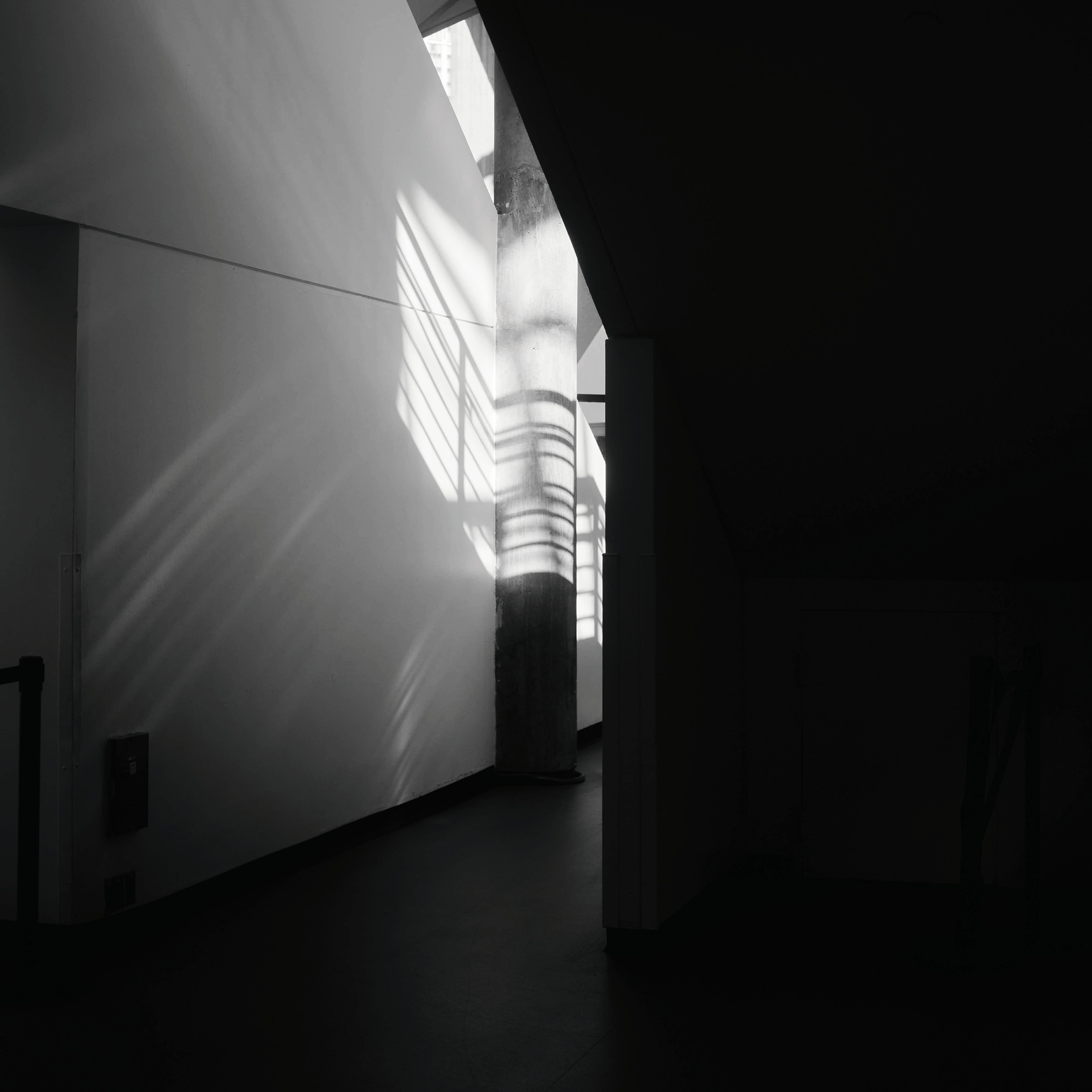 Square abstract photograph from the National Aquarium series.