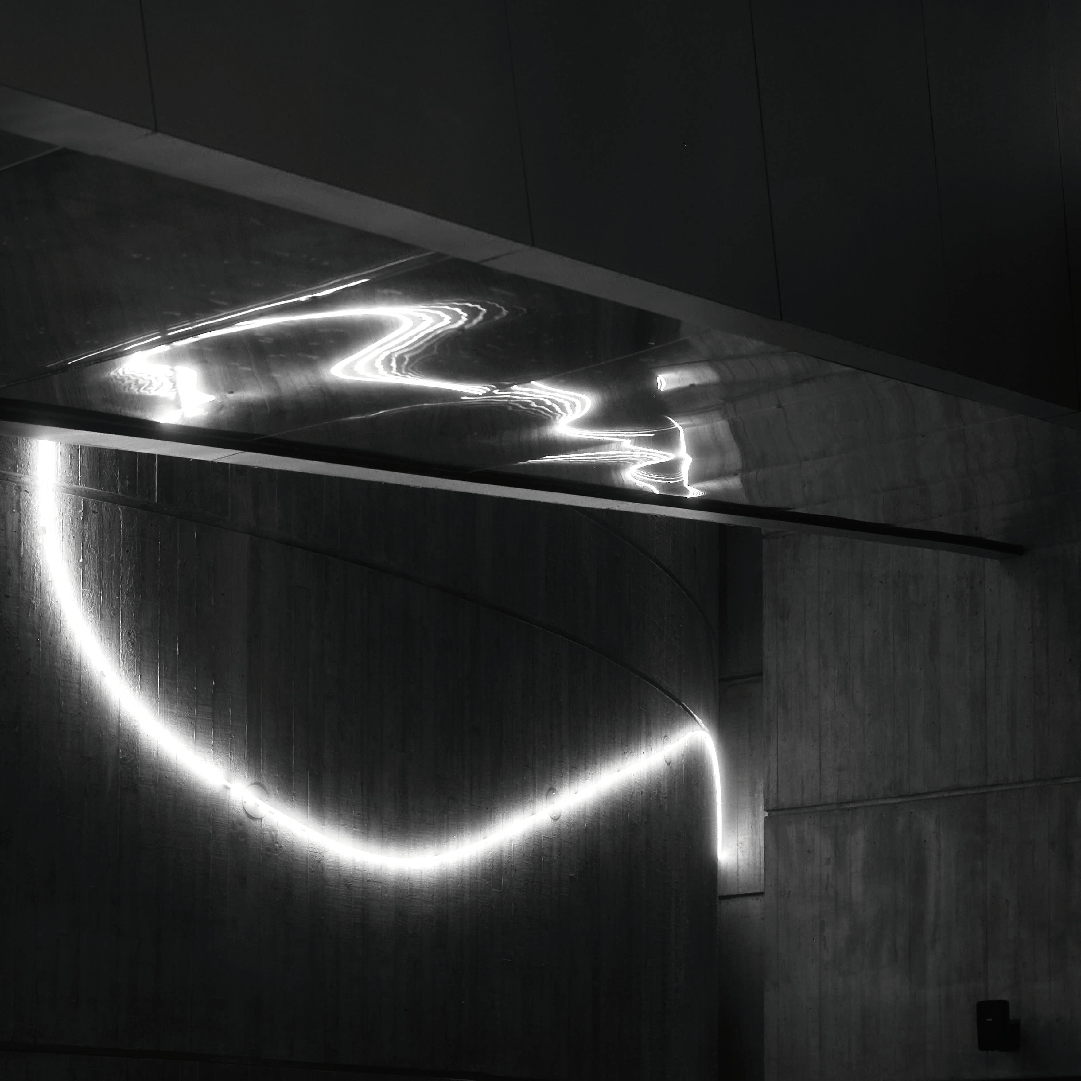 Square abstract photograph from the National Aquarium series.