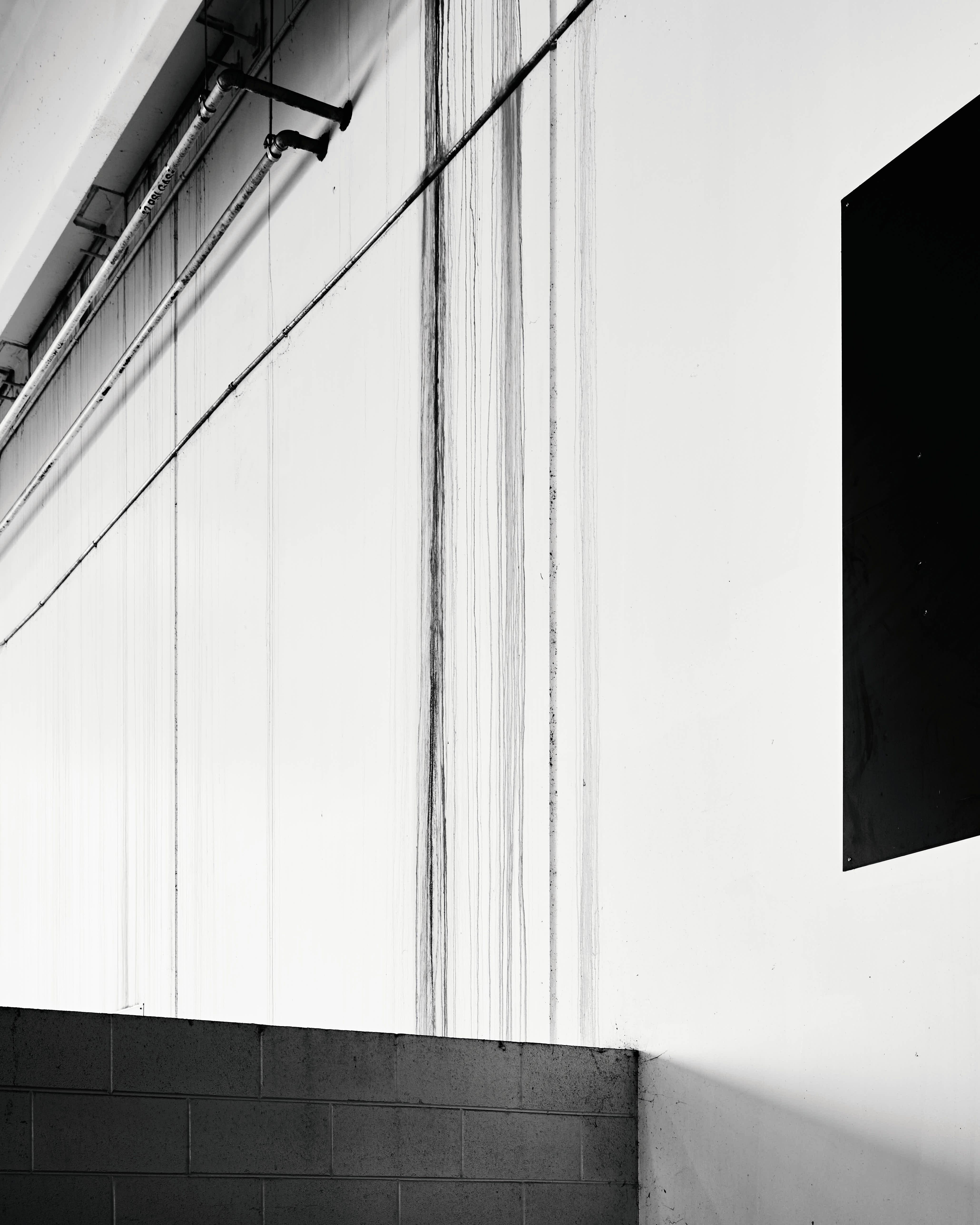 Vertical abstract photograph from the Riverdale Walk series.