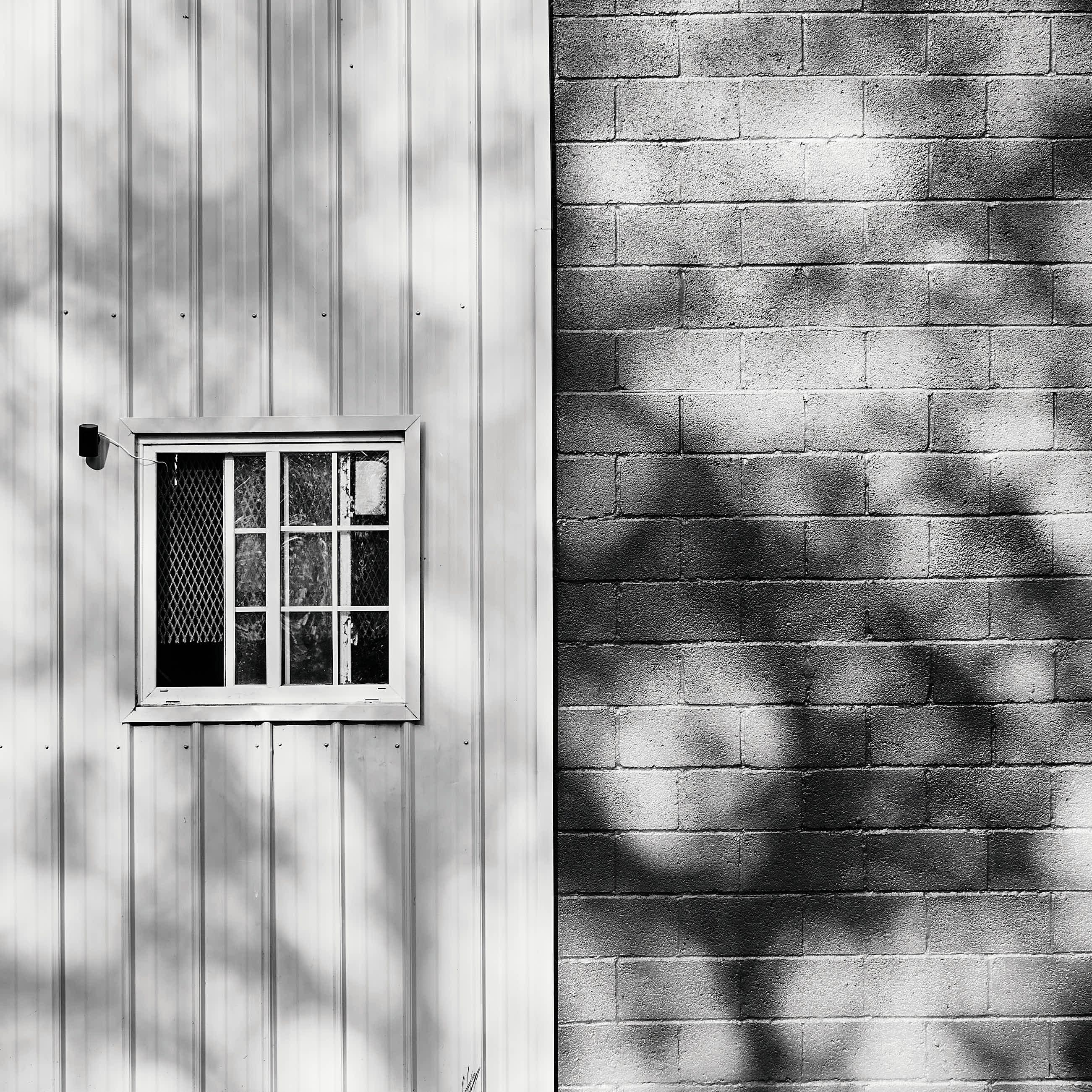 Abstract photograph captured on trails at Brookside Gardens, Maryland.