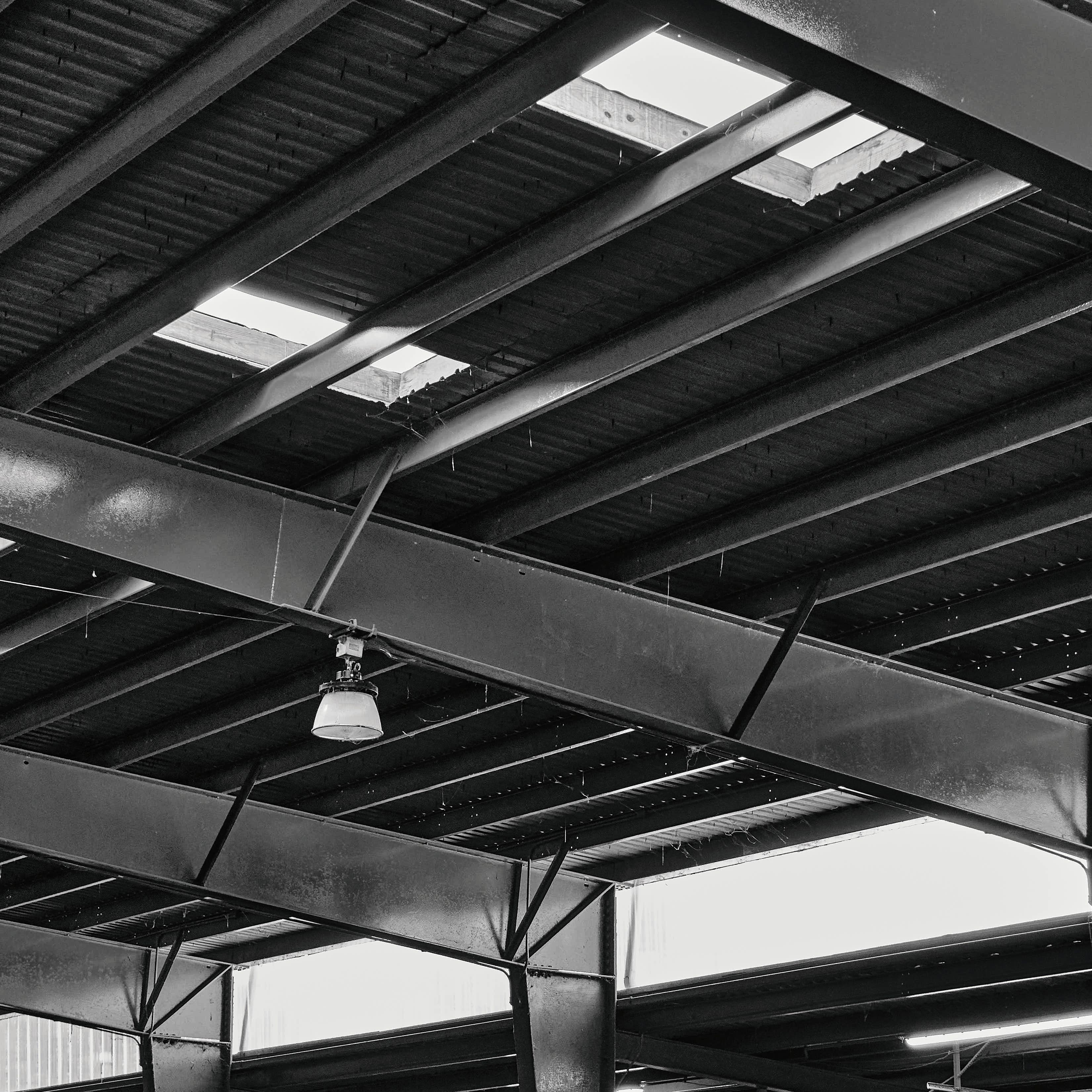 Abstract photograph captured at Brookside Gardens, Maryland.